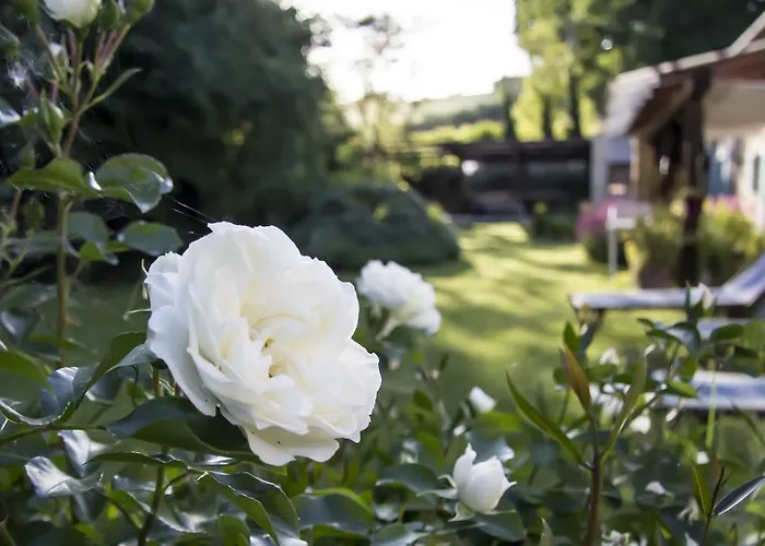 Appartement Pranavita, B&B Naturale