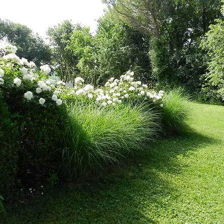 B&B I Fiori della Cava *